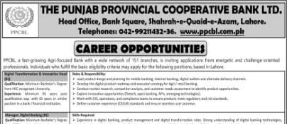 Punjab Provisional Cooperative Bank Jobs September PPCBL Apply Online Latest