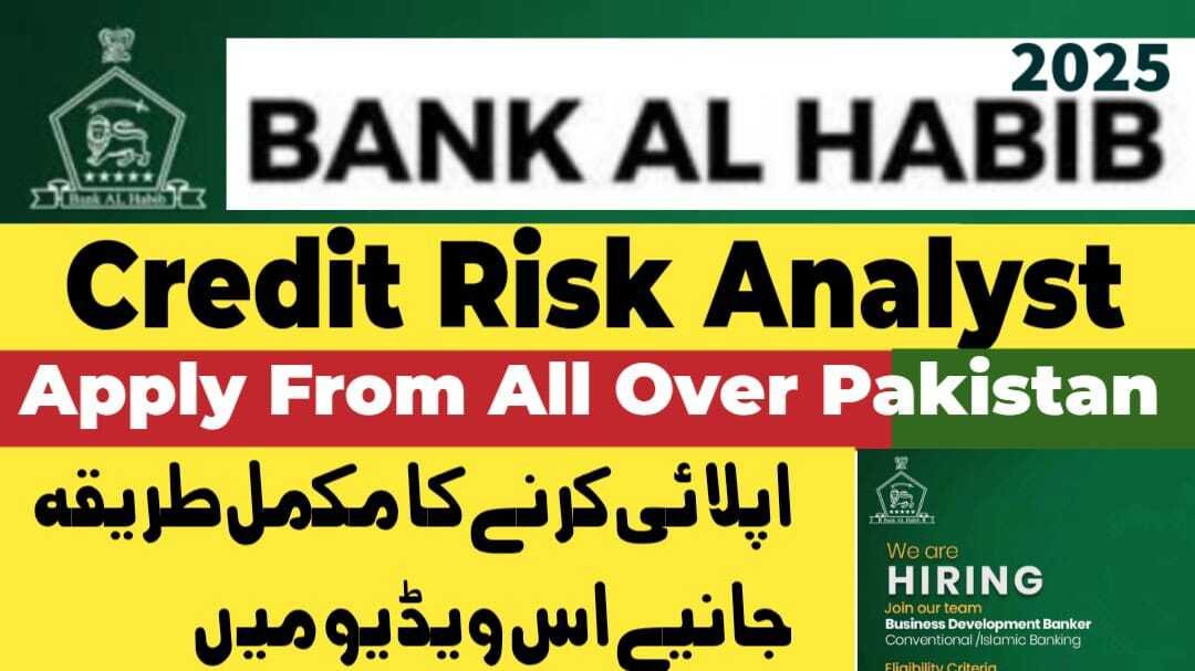 Bank Al Habib Credit Risk Analyst Jobs December 2025 Latest